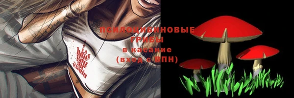 индика Богородицк