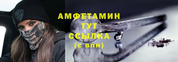твердый Магас