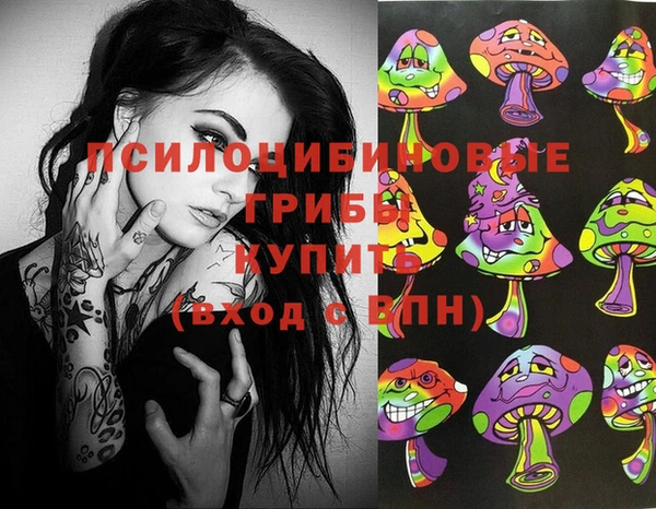 твердый Магас