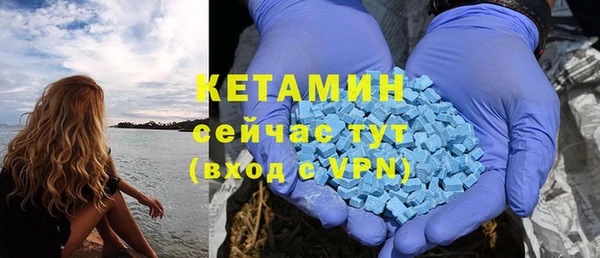 твердый Магас