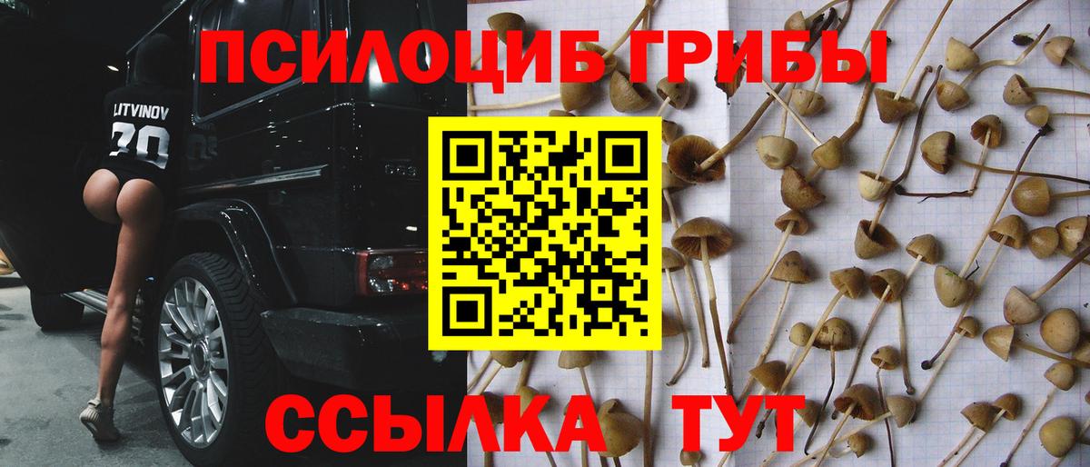 Галлюциногенные грибы прущие грибы Кинешма