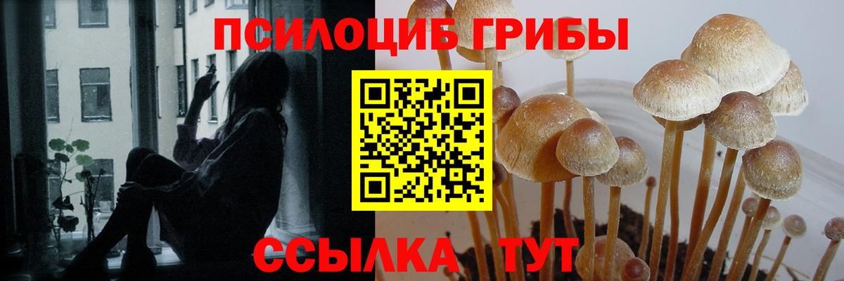 Галлюциногенные грибы MAGIC MUSHROOMS  Вход с VPN  купить   Кинешма 