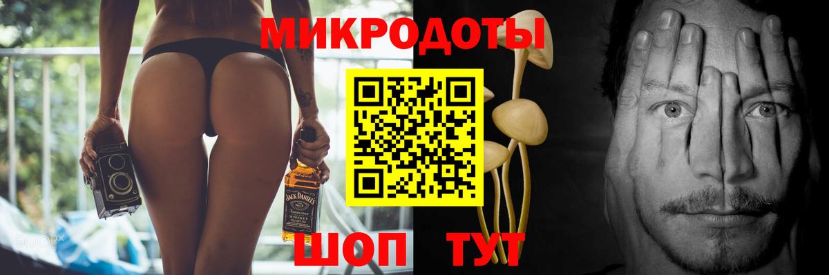 Галлюциногенные грибы прущие грибы  Кинешма  Псилоцибиновые грибы Cubensis 